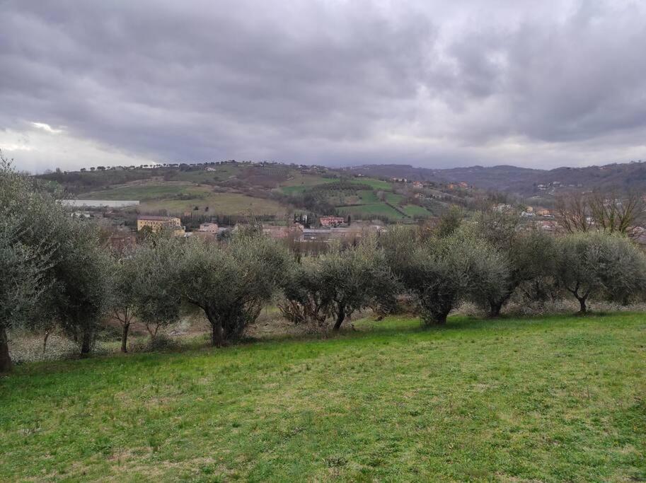 Appartamento Casa Vacanze In Famiglia San Leucio del Sannio Esterno foto